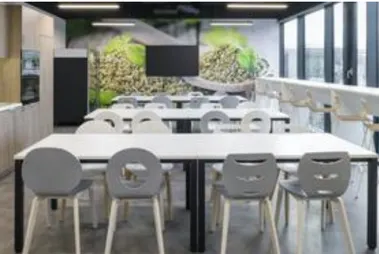 Tischnera Office