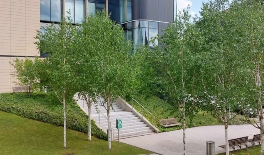 Biuro Wilanów Office
