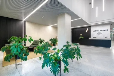 Lubicz Park B