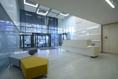 Domaniewska Office Hub