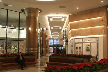 LIM Center